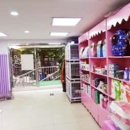 佳佳有宠:北京城区朝阳区酒仙桥附近