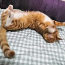 世纪汪国:长沙市开福区湘江世纪城附近