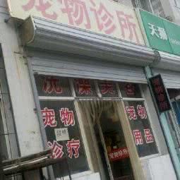 宠儿安宠物医院:天津城区西青区杨柳青附近