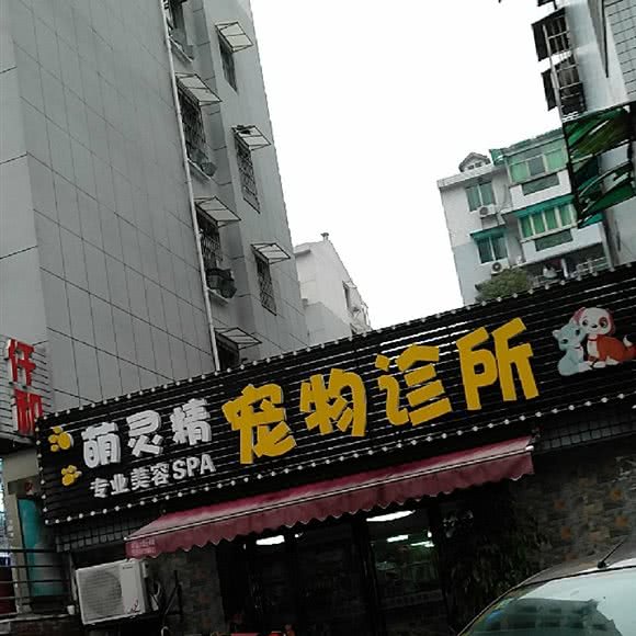 萌灵精宠物诊所:长沙市开福区湘江世纪城附近