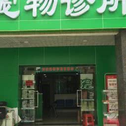 康宝宠物诊所:长沙市开福区湘江世纪城附近