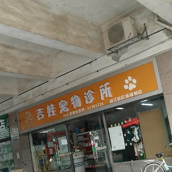 吉娃狗狗诊所:长沙市开福区湘江世纪城附近