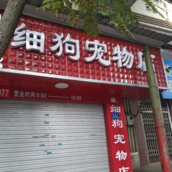细狗宠物店:长沙市开福区四方坪附近