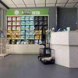 大奇宠物:长沙市开福区四方坪附近