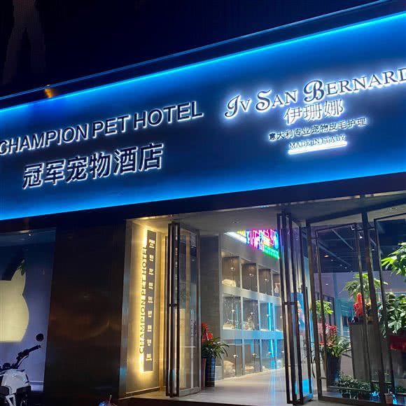 Champion Pet宠物酒店?猫咖:长沙市开福区四方坪附近