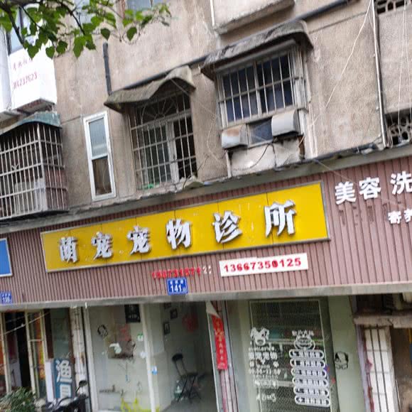 萌宠宠物诊所:长沙市开福区四方坪附近