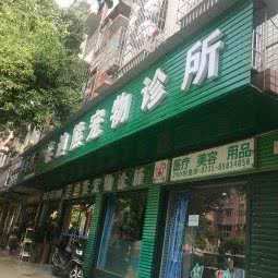 泰迪熊宠物医院:长沙市开福区四方坪附近