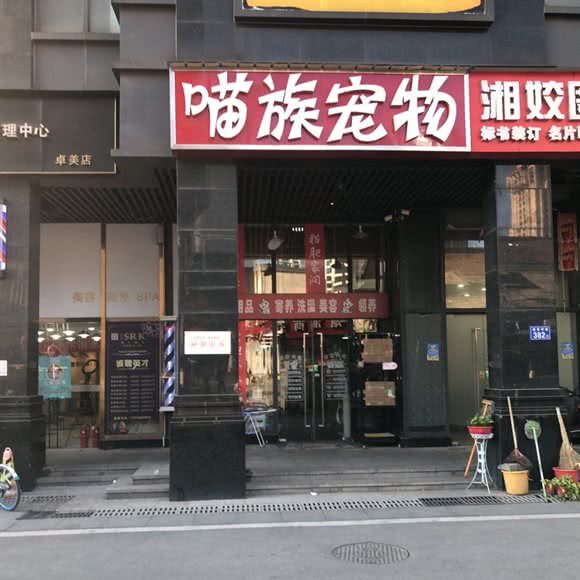 寄养洗澡:长沙市开福区湘雅附一医院附近