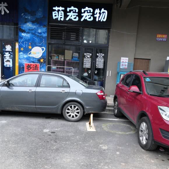 萌宠宠物:长沙市开福区珠江花城/万国城附近
