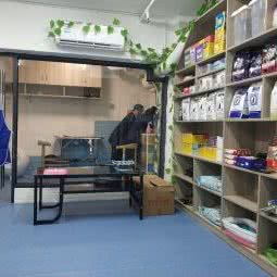 乐多岛宠物医院(福元西路店):长沙市开福区珠江花城/万国城附近