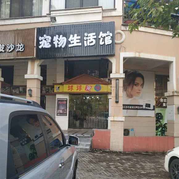 球球宠物生活馆:长沙市开福区山语城/金霞附近