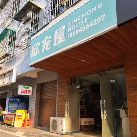 欣宠屋:长沙市开福区青竹湖/芒果汽车附近