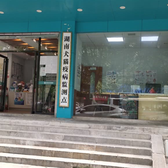郴州犬猫疫病检测点:长沙市雨花区东塘附近