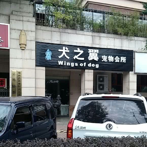 犬之翼宠物会所:长沙市雨花区红星国际会展中心附近