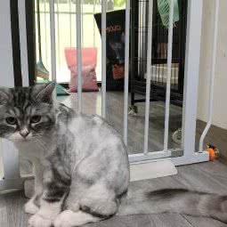 Pet·Ｕ萌宠:天津城区西青区张家窝/天津南站附近