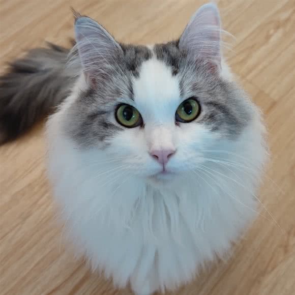 那可是家笨蓉咖·桌游店:长沙市雨花区雨花亭附近