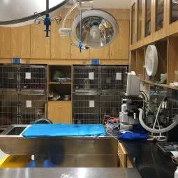 铭心宠物医院:长沙市雨花区雨花亭附近