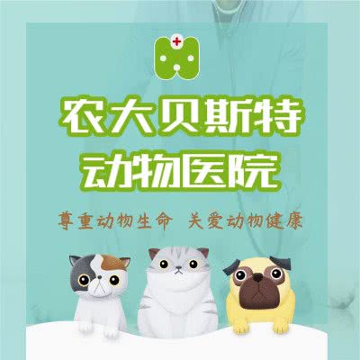 农大贝斯特动物医院(陆都分院):长沙市雨花区雨花亭附近