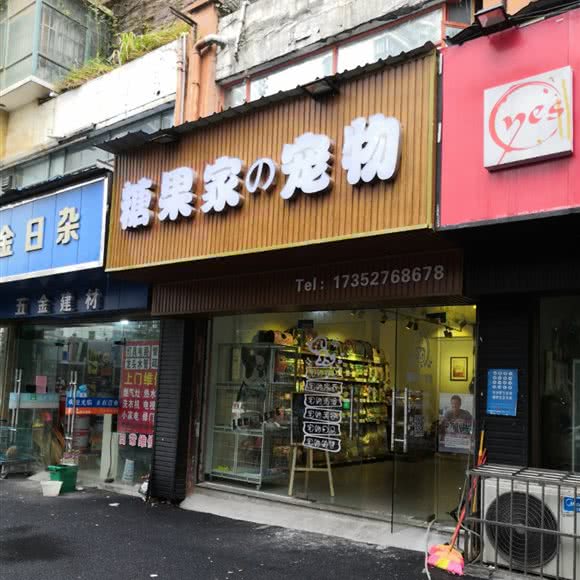 糖果家の狗狗:长沙市雨花区体育新城附近