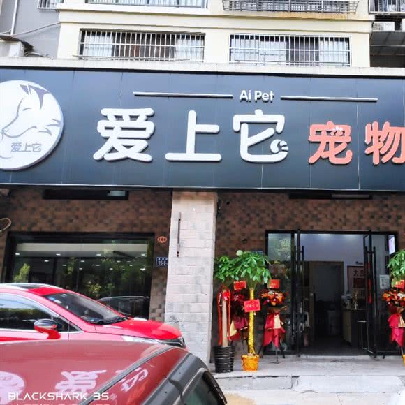 爱上它宠物店:长沙市雨花区树木岭附近
