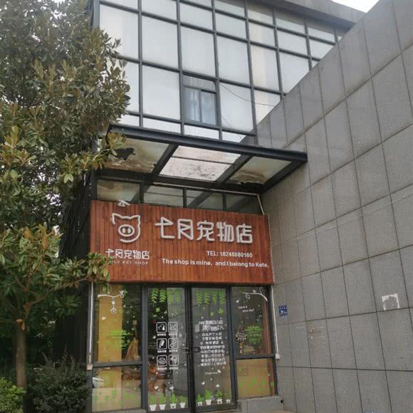 七月宠物店:长沙市雨花区井湾子附近