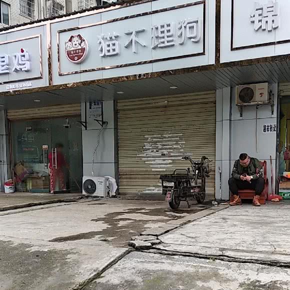 猫不理猫:长沙市雨花区民政学院/香樟路附近