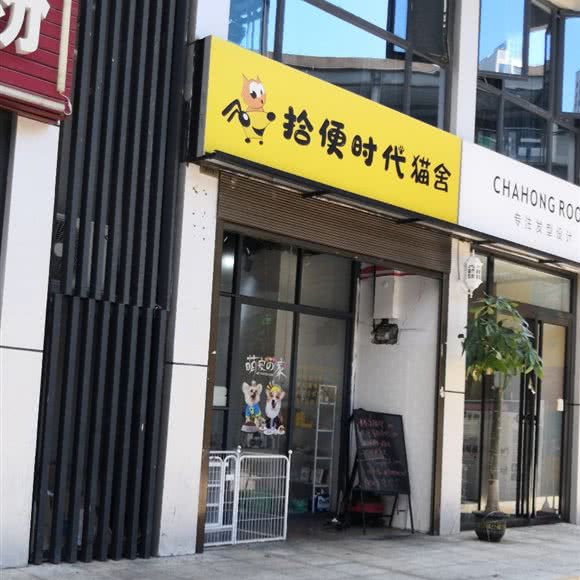 拾便时代猫舍:长沙市雨花区民政学院/香樟路附近