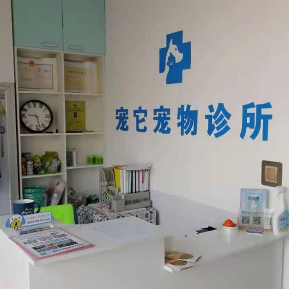 宠它宠物诊所:天津城区西青区张家窝/天津南站附近