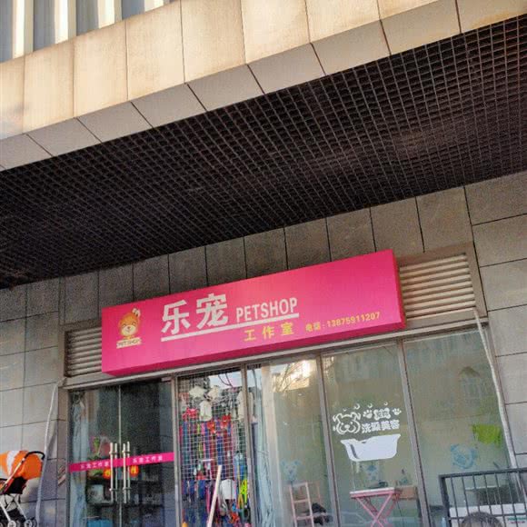 乐宠工作室:长沙市雨花区汽车南站附近