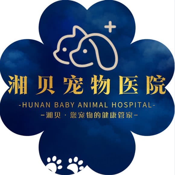 湘贝宠物医院:长沙市雨花区德思勤城市广场附近