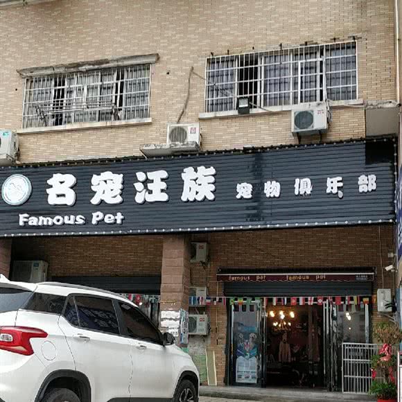 名宠汪族宠物会所:长沙市雨花区环保学院/科技职院附近