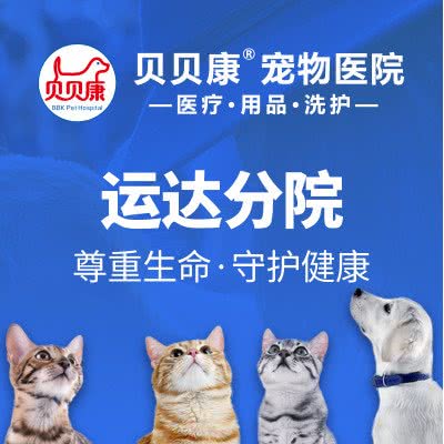 贝贝康宠物医院(运达分院):长沙市雨花区运达中央广场附近