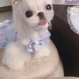 伊家咖啡店:长沙市望城区月亮岛附近