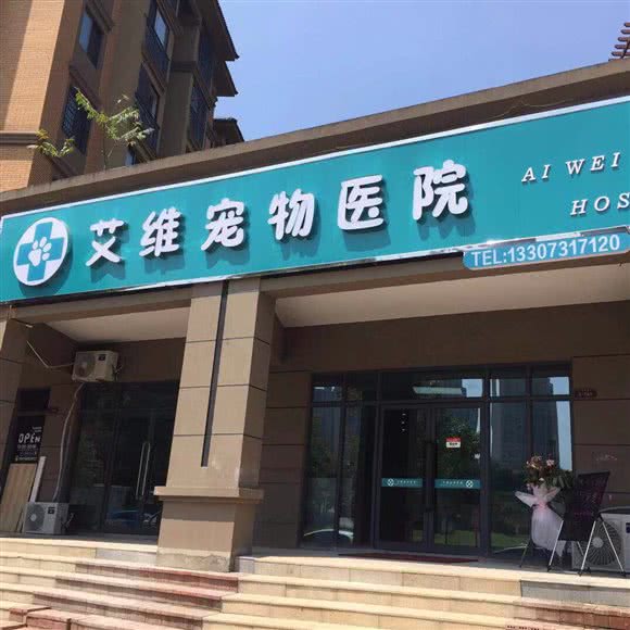 艾维宠物医院·猫科·骨科:长沙市望城区月亮岛附近