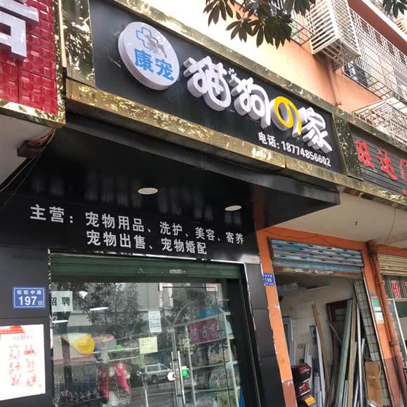 康宠猫狗の家:长沙市望城区正荣广场附近
