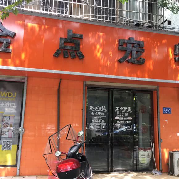 金点宠物狗:长沙市望城区郭亮中路附近