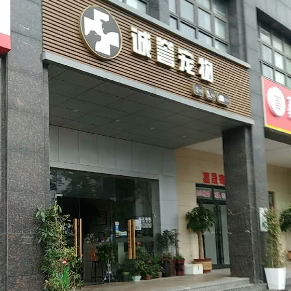 诚誉狗狗:长沙市长沙县长沙县附近