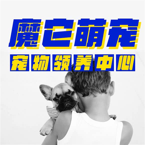 魔它·宠物领养:长沙市长沙县长沙县附近