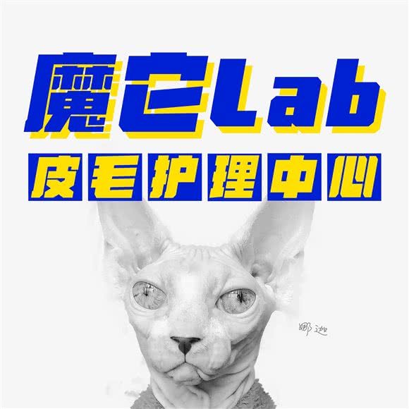 魔它·宠物Lab:长沙市长沙县长沙县附近
