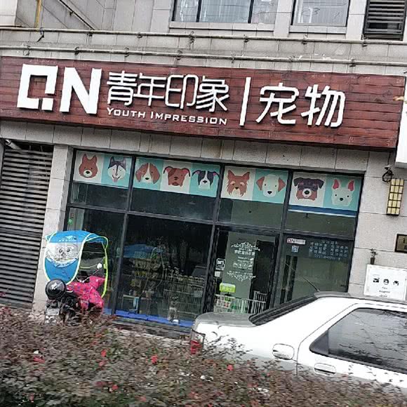 青年印象宠物:长沙市长沙县长沙县附近