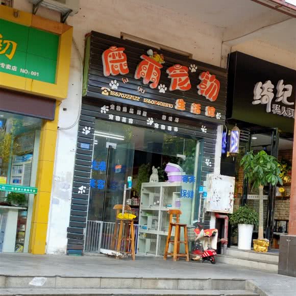 鹿萌宠物:长沙市长沙县长沙县附近