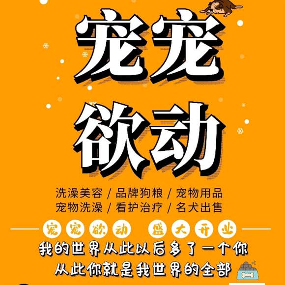 宠宠欲动:长沙市长沙县长沙县附近