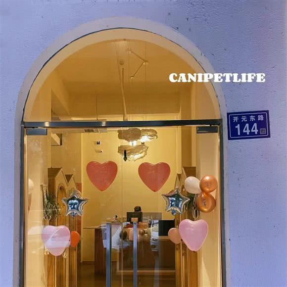 咖妮狗狗生活馆:长沙市长沙县长沙县附近