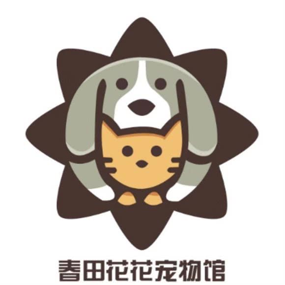 春田花花宠物馆:北京城区朝阳区酒仙桥附近