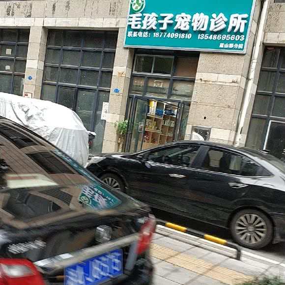 星沙毛孩子宠物诊所(蓝山郡分院):长沙市长沙县长沙县附近