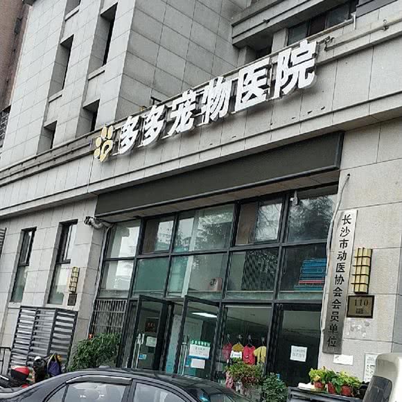 多多宠物医院:长沙市长沙县长沙县附近
