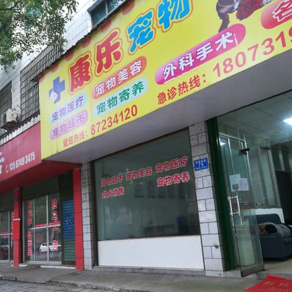 康乐宠物:长沙市宁乡市玉潭镇附近