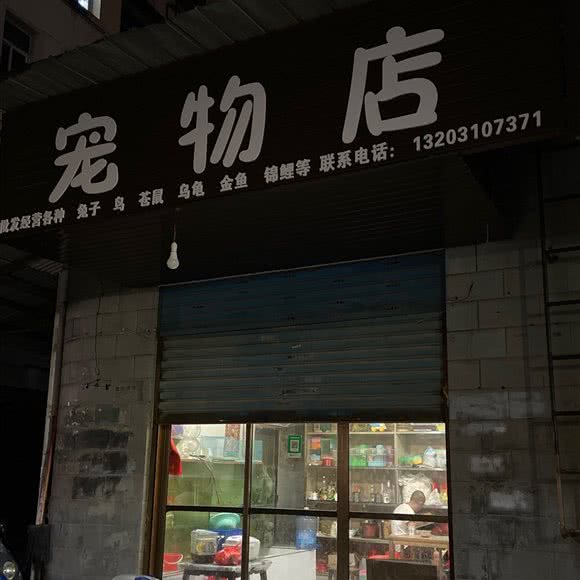 宠物店:长沙市宁乡市玉潭镇附近