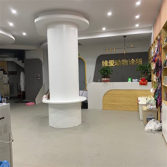 维爱宠物诊所:株洲市荷塘区华润万家附近