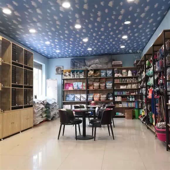 东方名仕宠物寄养美容馆:天津城区西青区大寺附近